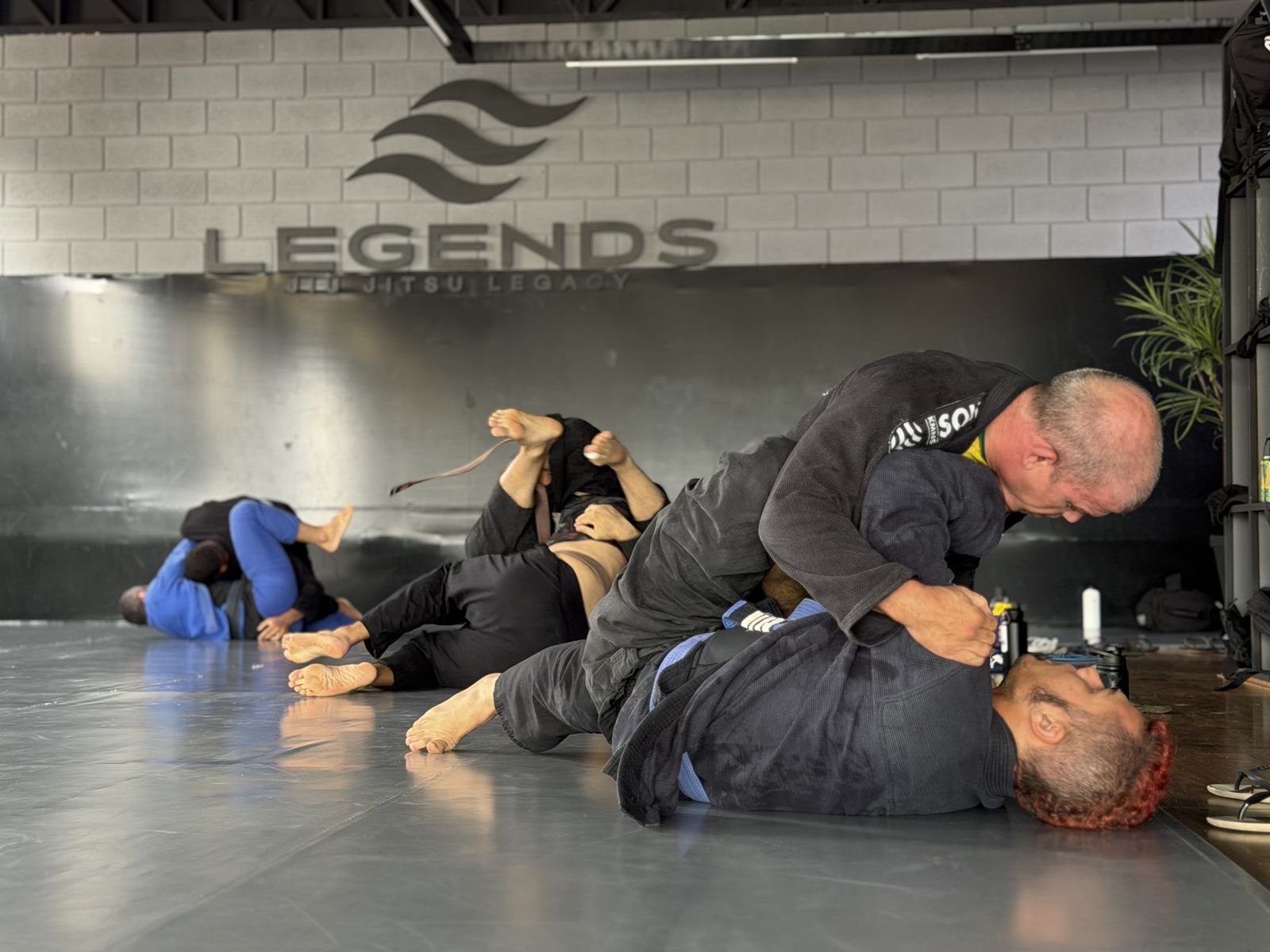 Treino da equipe Legends no tatame, com o logo da equipe na parede